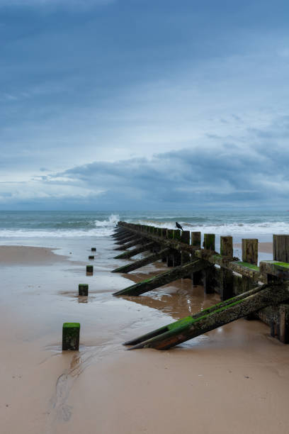 istock Scottish coast, North Sea, beautiful seascape 1430471223