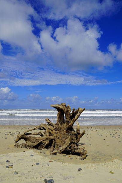 istock Manning Point, NSW, Australia 1430491195