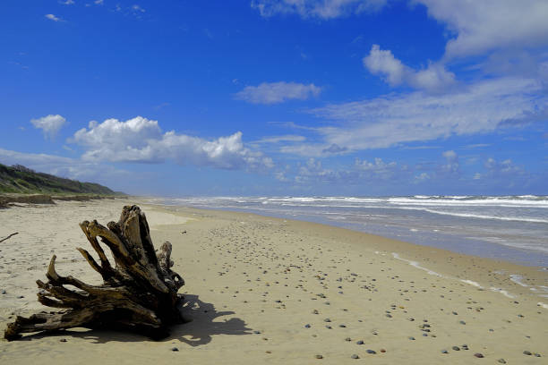Seascape with beach and waves in Aude. Intense lights in Occitania