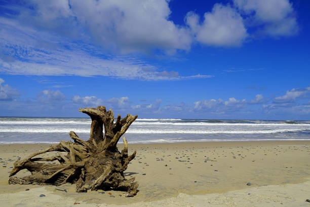 istock Manning Point, NSW, Australia 1430492225
