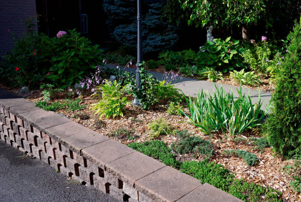 istock Perennial Flowerbed with Wall 1430495794