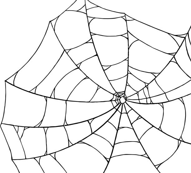 Spiderwebs isolate on png or transparent  background, happy halloween banner, template for poster, brochure, advertising, promotion,sale marketing vector illustration Spiderwebs isolate on png or transparent  background, happy halloween banner, template for poster, brochure, advertising, promotion,sale marketing vector illustration spider web png stock illustrations