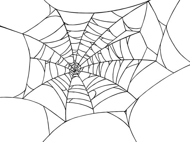 Spiderwebs isolate on png or transparent  background, happy halloween banner, template for poster, brochure, advertising, promotion,sale marketing vector illustration Spiderwebs isolate on png or transparent  background, happy halloween banner, template for poster, brochure, advertising, promotion,sale marketing vector illustration spider web png stock illustrations