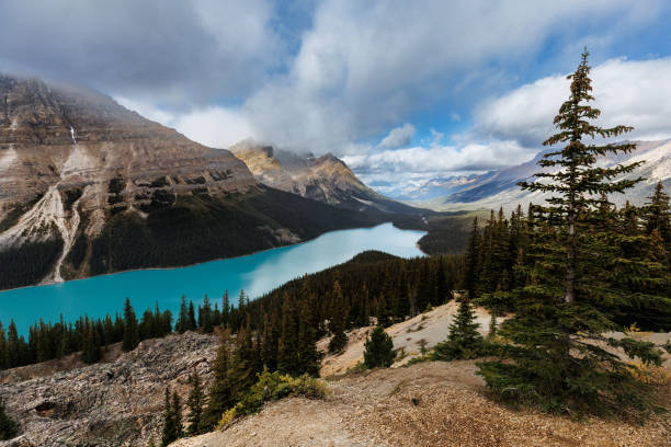 istock Peyto Lake in Canada 1430509501
