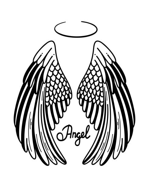 illustrations, cliparts, dessins animés et icônes de illustration vectorielle des ailes d’anges. ange avec aile et halo dans le style doodle. illustration d’esquisse au trait dessinée à la main avec lettrage - couronne solaire