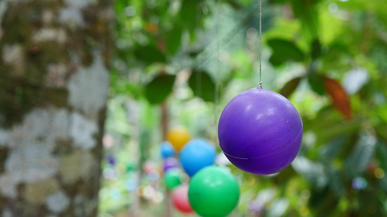 Purple ball hanging between the leaves of the tree