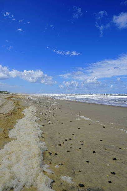 istock Manning Point, NSW, Australia 1430527489