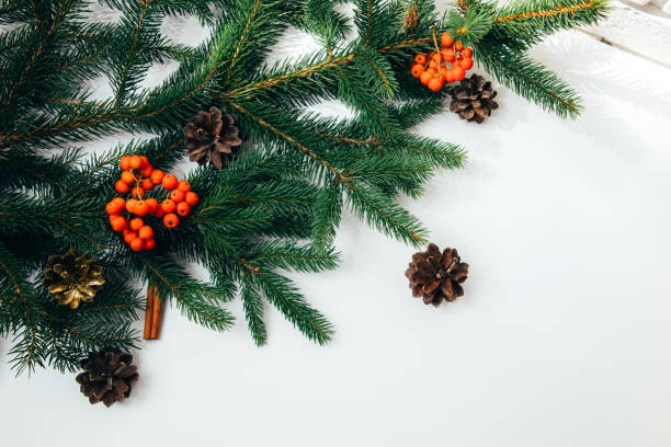 istock New Year's decor on a white table, green Christmas tree with pine cones, mountain ash. New Year, Christmas background 1430532794