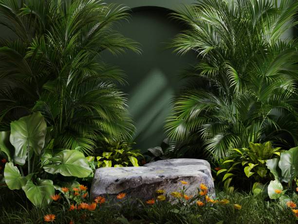 istock Stone platform in tropical green forest for product presentation. 1430552249
