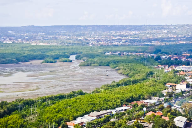 istock mangrove trees protect the island 1430553675