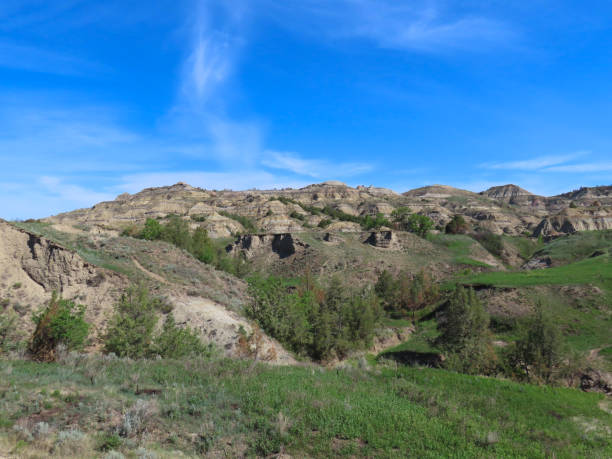 istock Theodore Roosevelt National Park 1430556988