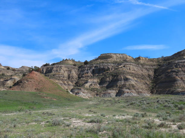 istock Theodore Roosevelt National Park 1430557019