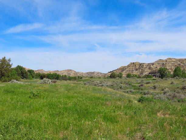 istock Theodore Roosevelt National Park 1430557056