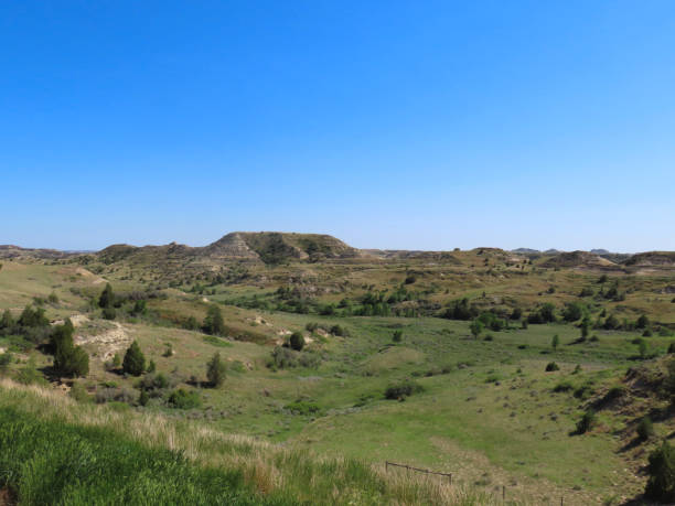istock Theodore Roosevelt National Park 1430557599