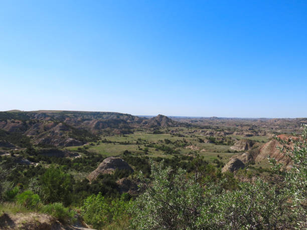 istock Theodore Roosevelt National Park 1430557611