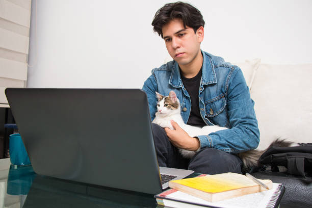 istock Young student taking a virtual class. Person in a virtual meeting along with her pet. 1430558765