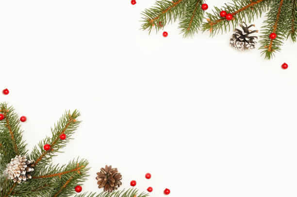 istock Spruce, fir branches, red berries on white background. Frame border. Christmas composition. Space for text. 1430565950