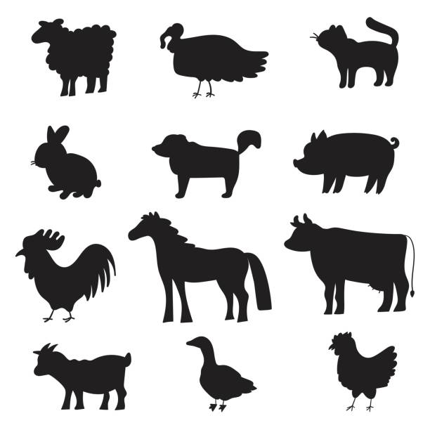 zestaw zwierząt gospodarskich. ikony sylwetki. - domestic pig agriculture farm animal stock illustrations