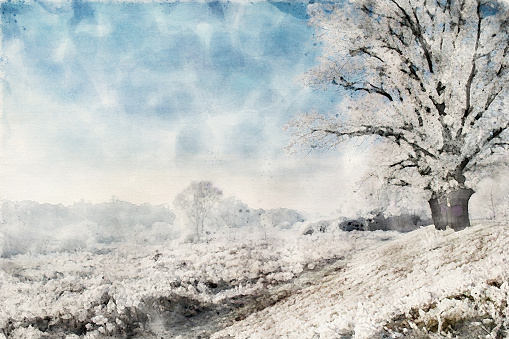 Watercolor painting  of a sunny early winter landscape
