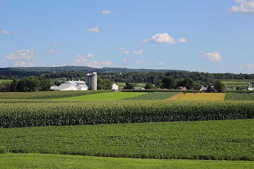 Farms in summer, on the rolling hills in Strasburg, Lancaster County, Pennsylvania, near Railroad Museum of Pennsylvania