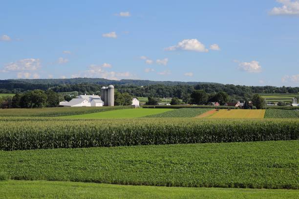 fazendas no verão, nas colinas rochosas em strasburg, condado de lancaster, pensilvânia, perto do museu ferroviário da pensilvânia - rolling hill field green - fotografias e filmes do acervo