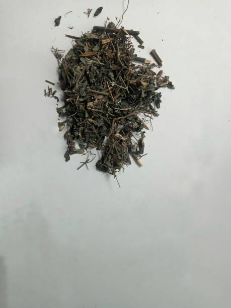 istock Bitter leaf is a leaf that is used for medicine 1430590900