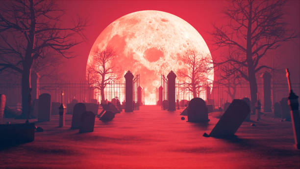 istock Graveyard in Full moon night,Halloween Background 1430594643