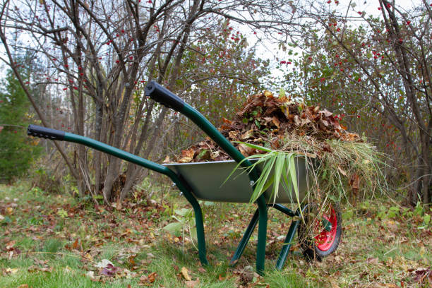 istock garden wheelbarrow with fallen leaves 1430597137