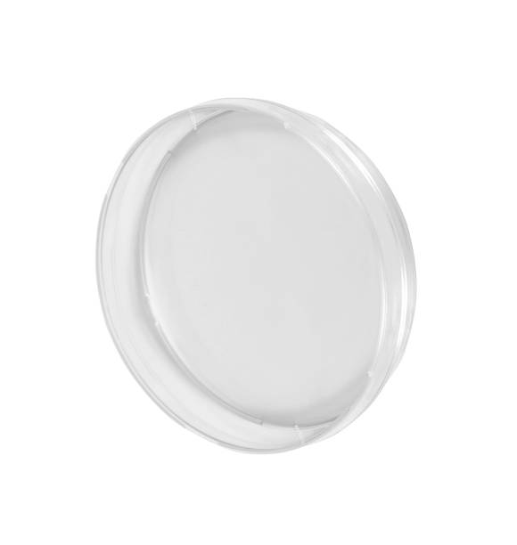 istock Petri dish isolated on white 1430598966