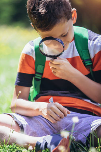 istock Young boy exploring nature in a meadow with a magnifying glass 1430600140