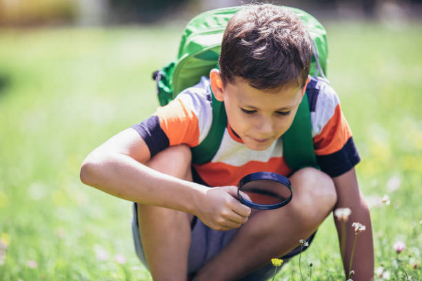 istock Young boy exploring nature in a meadow with a magnifying glass 1430600310