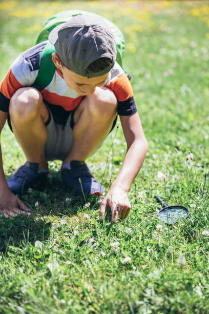 istock Young boy exploring nature in a meadow with a magnifying glass 1430600332