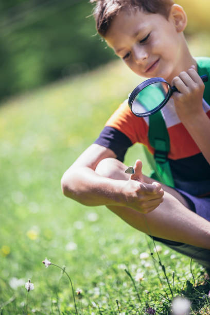 istock Young boy exploring nature in a meadow with a magnifying glass 1430600344