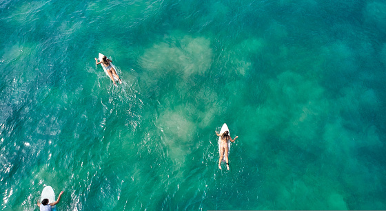 Aerial view of the ocean and surfer girls. Surfing in Midigama. Sri Lanka