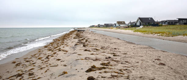 istock Beach in the middle of Denmark 1430607737