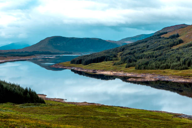 Beautiful Scottish forest and lake landscape view