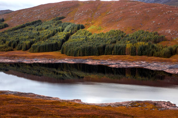 istock Beautiful Scottish forest and lake landscape view 1430608000