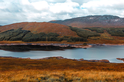 Beautiful Scottish forest and lake landscape view