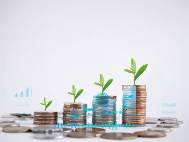 istock Tree growing on coins with icon graph on white workplace background, Business and finance concept. 1430610968