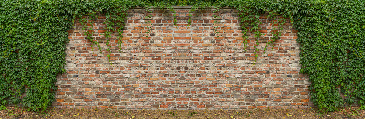 Brick Wall Background.