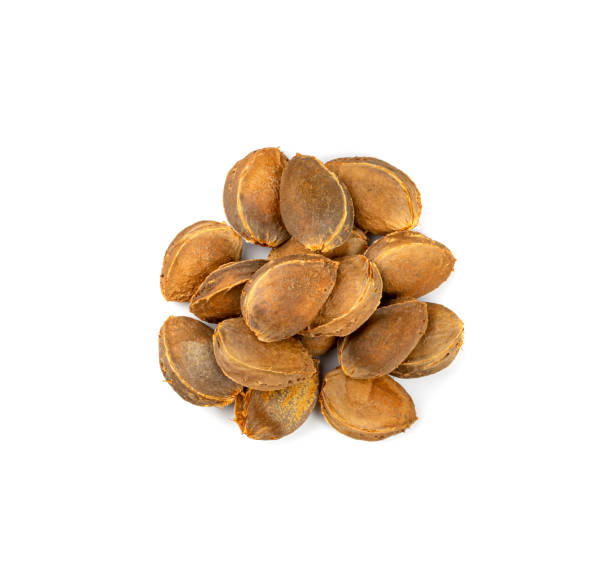 istock Apricot Kernels Isolated, Apricot Pits Pile, Fruit Seeds 1430618919