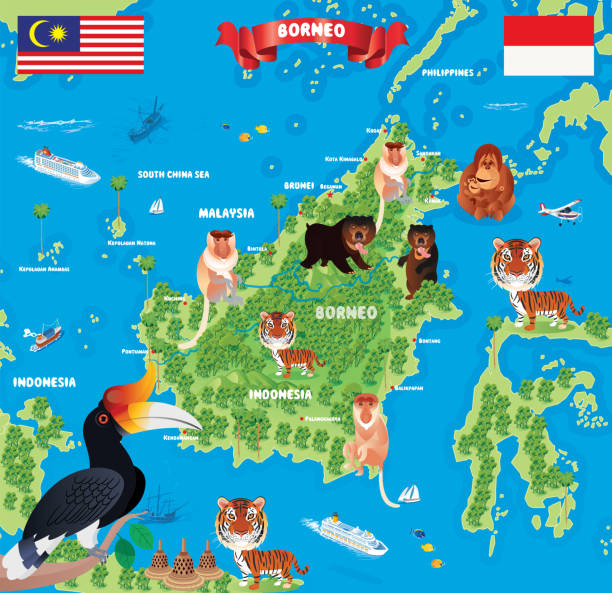 peta pulau kalimantan - indonesia culture ilustrasi stok