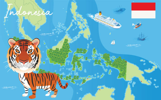 illustrazioni stock, clip art, cartoni animati e icone di tendenza di tigre di sumatra e tigre del borneo - indochina wild animals cats travel locations