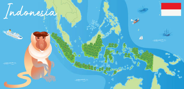 illustrazioni stock, clip art, cartoni animati e icone di tendenza di scimmia proboscide, (nasalis larvatus) - indochina wild animals cats travel locations