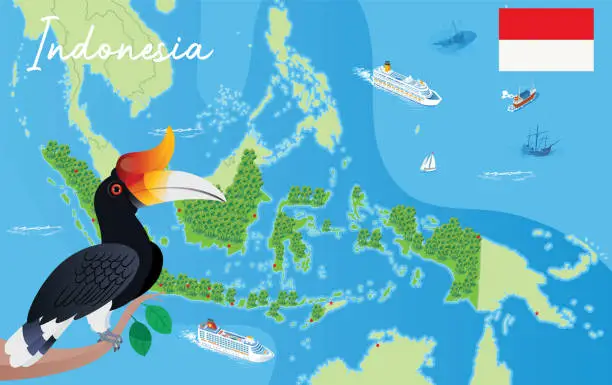 Vector illustration of Indonesia Map and Hornbill bird