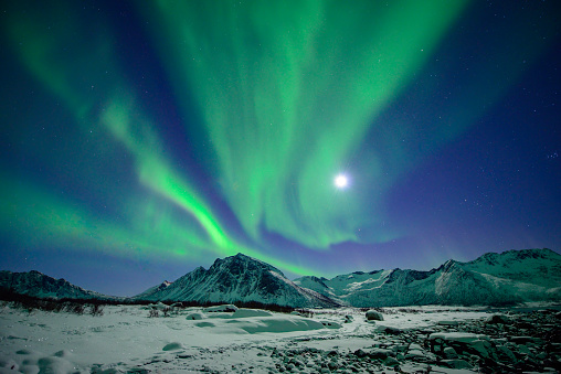 Northern Lights, polar light or Aurora Borealis in the night sky over Senja island in Northern Norway. Snow covered mountains in the background are illuminated by moonlight in a snow covered landscape.