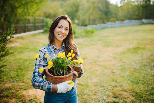 Smiling young woman in the garden with a tulip flower pot. Gardening concept.