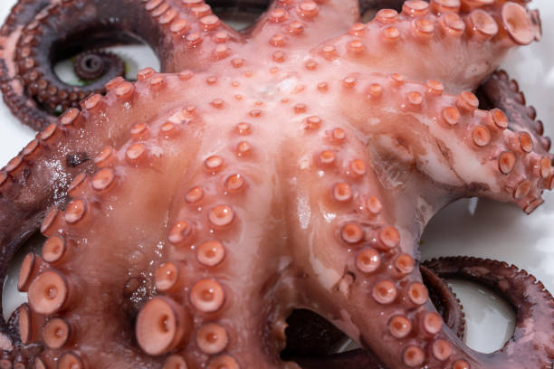 istock Fresh and delicious boiled octopus sashimi 1430635638