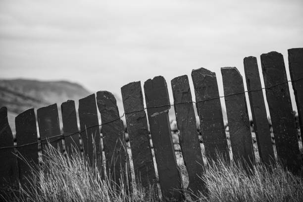 A rustic slate wall in Black and white with rushes in the foreground.