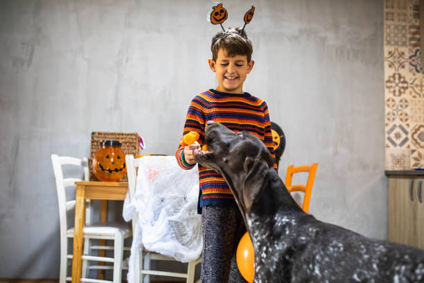 istock A cute boy and his dog having a fun evening at home on Halloween 1430638546